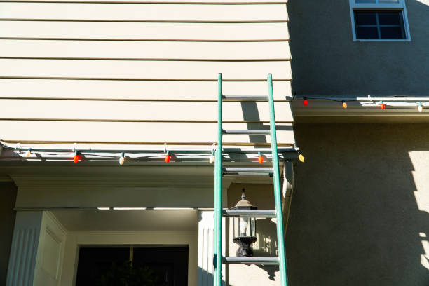 Best Historical Building Siding Restoration  in Sargent, TX