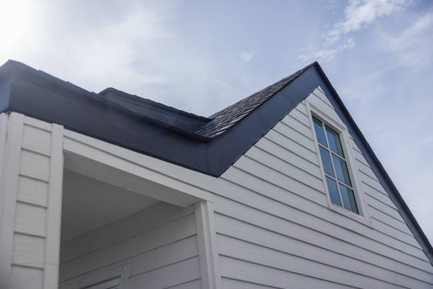 Best Siding Painting and Refinishing  in Sargent, TX